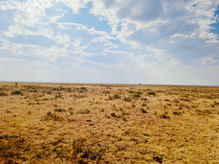 Commercial Property for Sale in Edenburg Free State